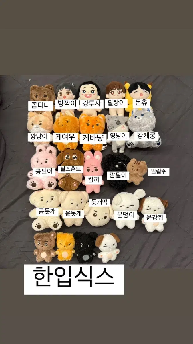 데이식스 비공굿 인형. 데니멀즈 쁘띠멀즈 앨범 마데워치 포카 영케이 원필